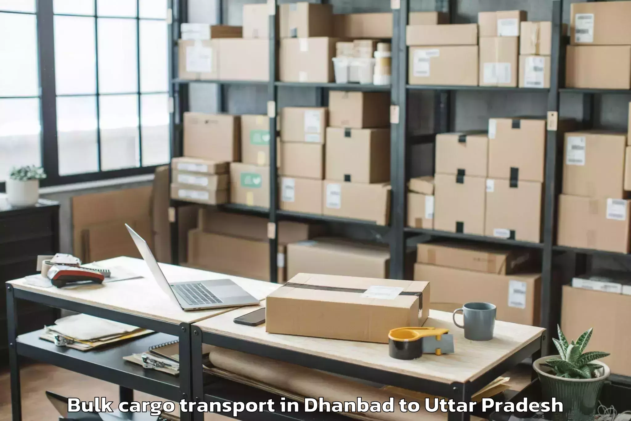 Quality Dhanbad to Kanpur Airport Knu Bulk Cargo Transport